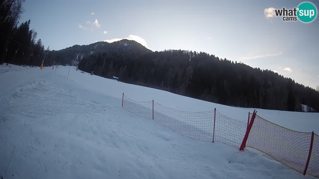 Esquí Kranjska Gora | Brsnina