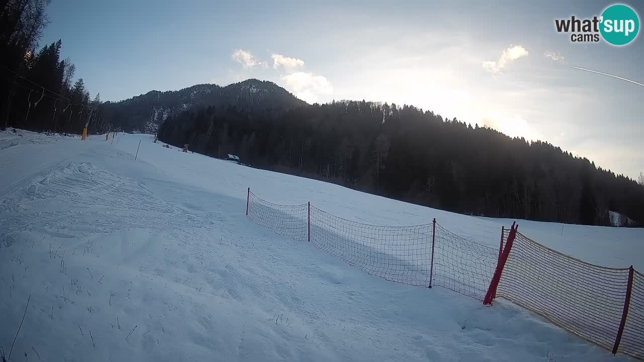 RTC Kranjska Gora | Brsnina