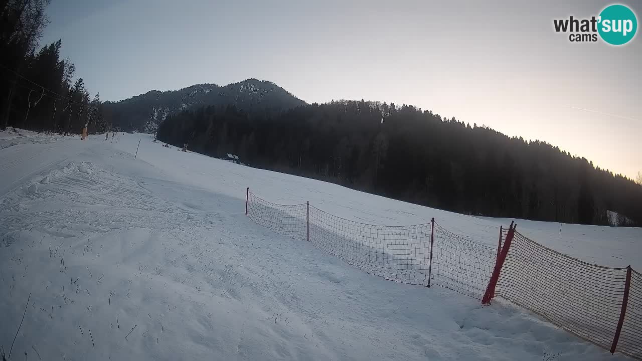 Ski Kranjska Gora | Brsnina