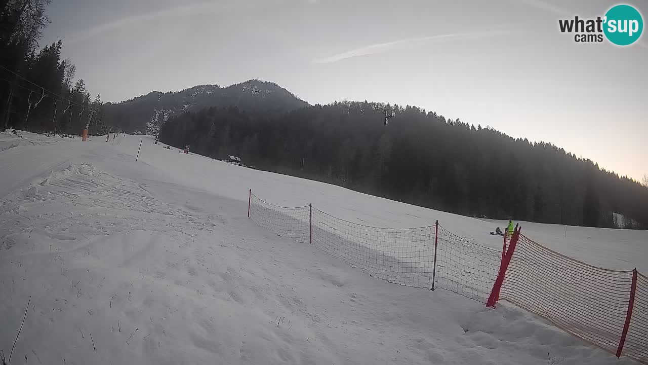 RTC Kranjska Gora | Brsnina