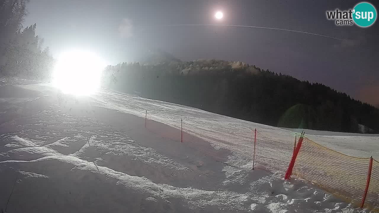 Esquí Kranjska Gora | Brsnina