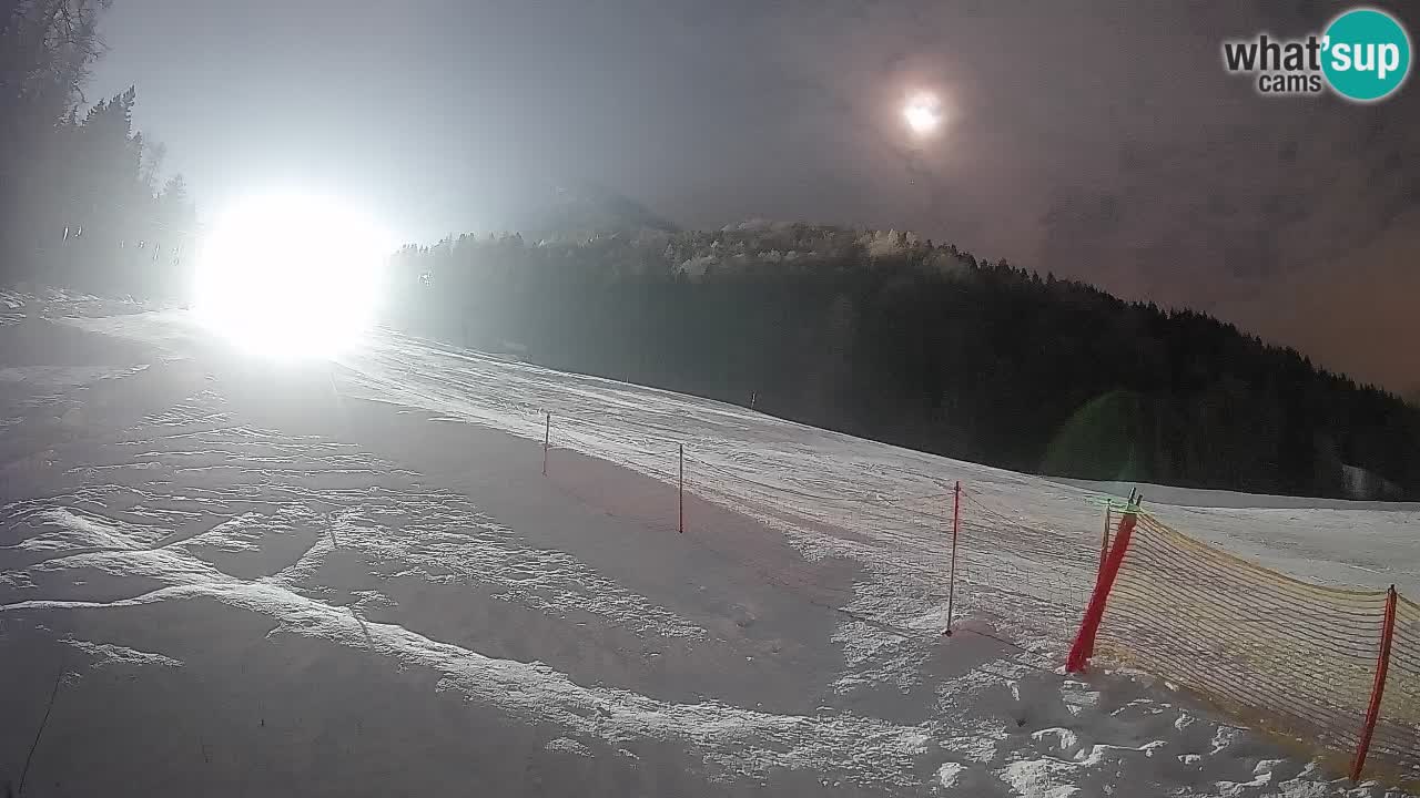Kranjska Gora Station de ski | Brsnina