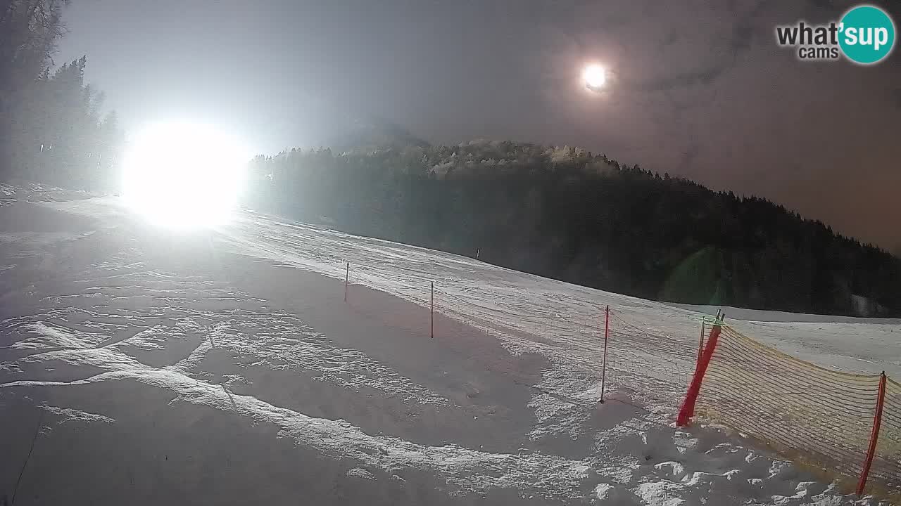 Kranjska Gora Station de ski | Brsnina