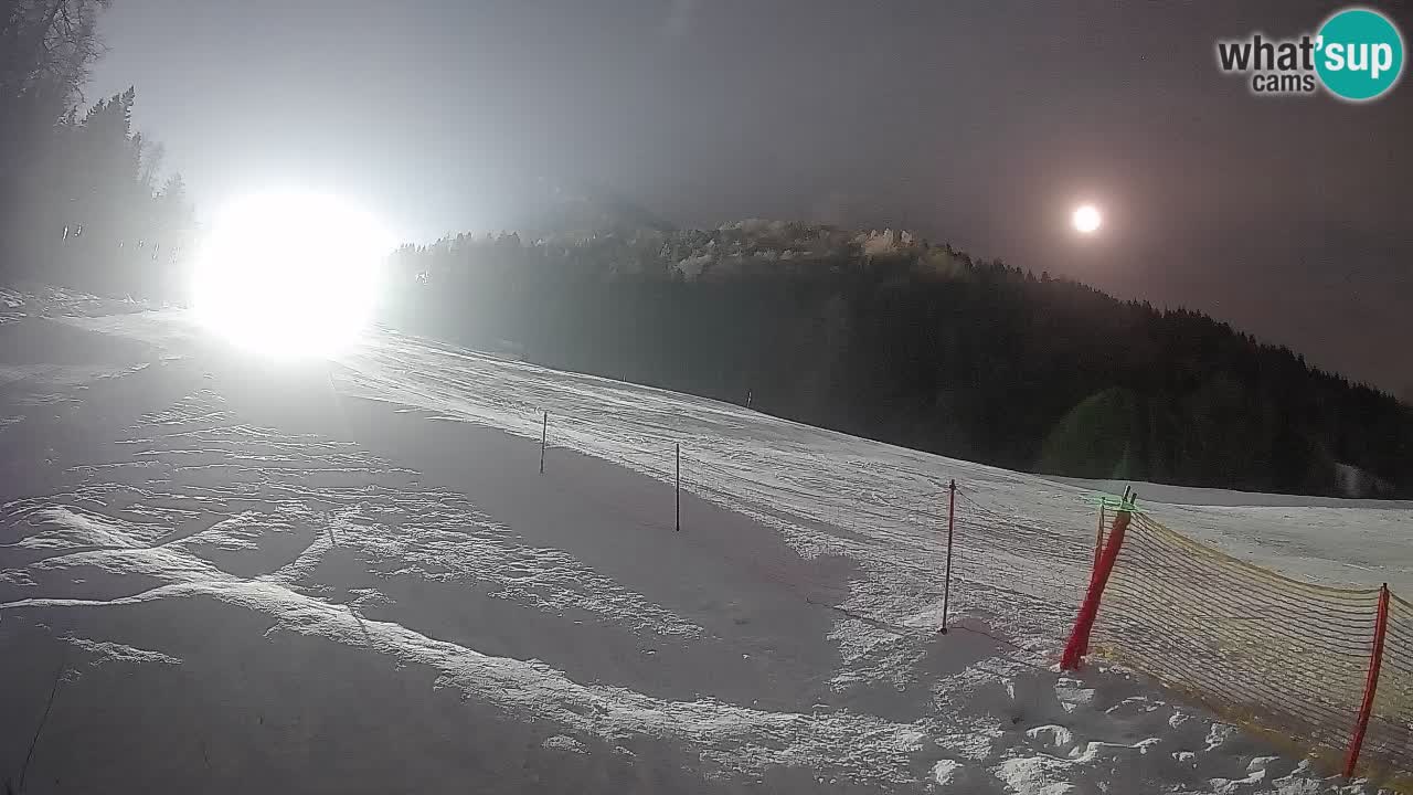 Kranjska Gora Station de ski | Brsnina