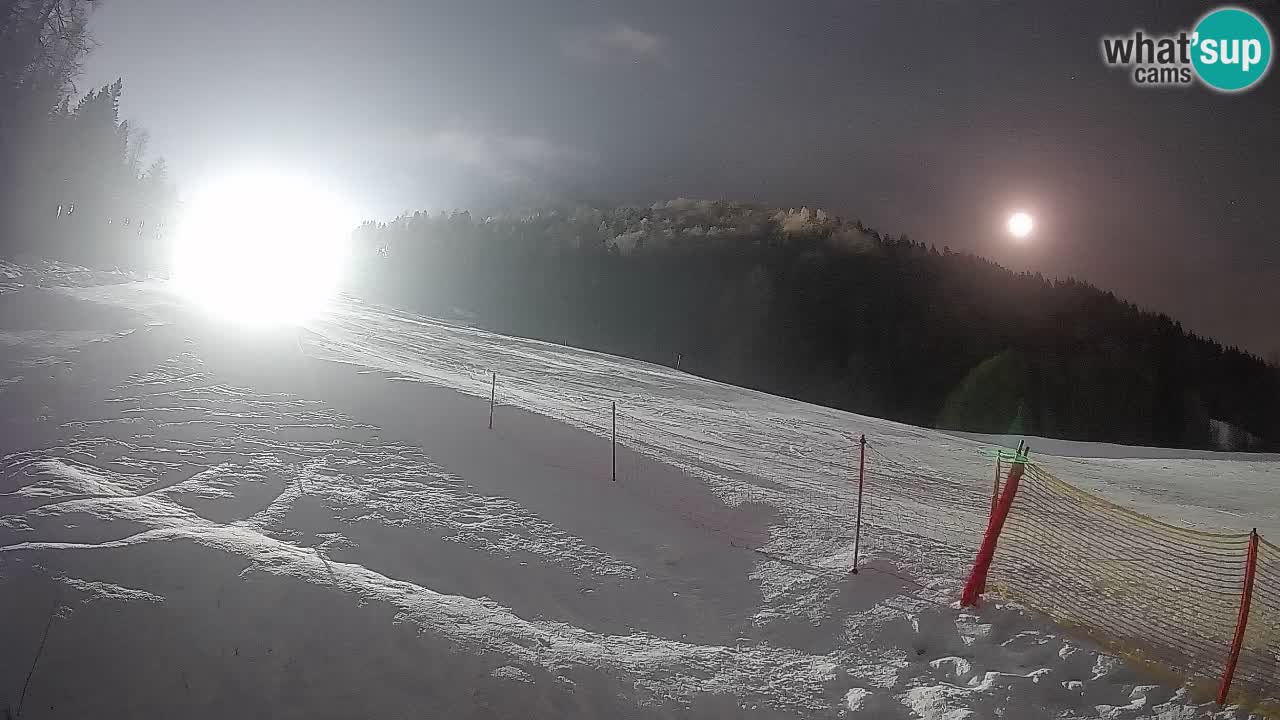 Esquí Kranjska Gora | Brsnina