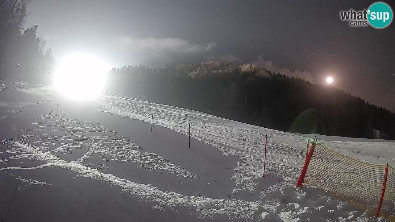 Ski Kranjska Gora | Brsnina