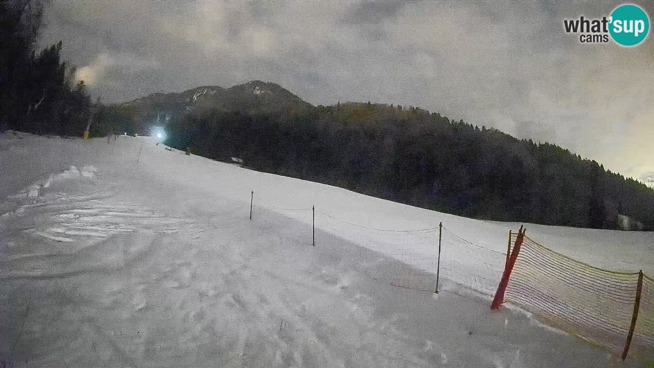 RTC Skigebiet Kranjska Gora | Brsnina