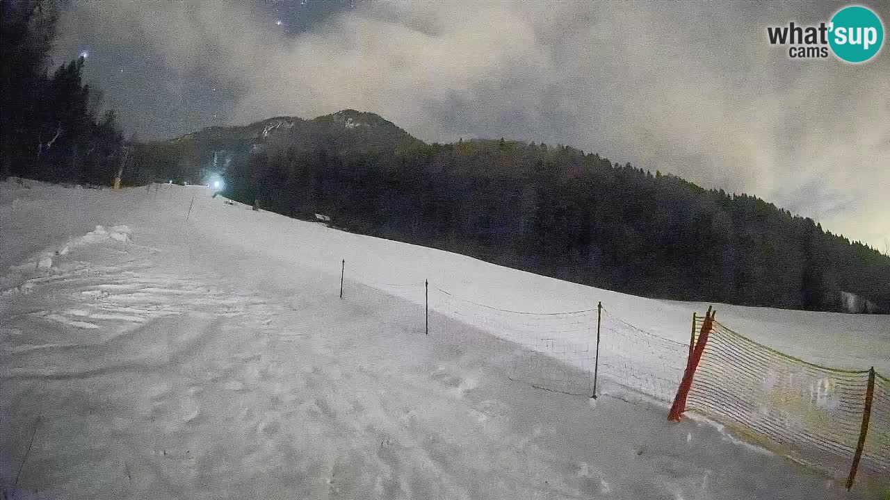 Kranjska Gora Station de ski | Brsnina