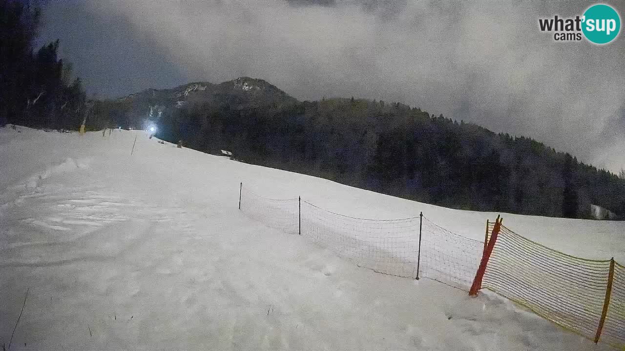Kranjska Gora SKIJANJE | Brsnina