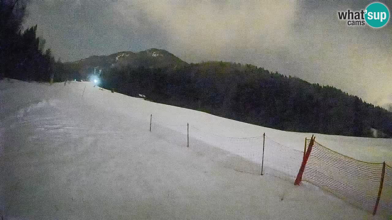 Kranjska Gora SKIJANJE | Brsnina