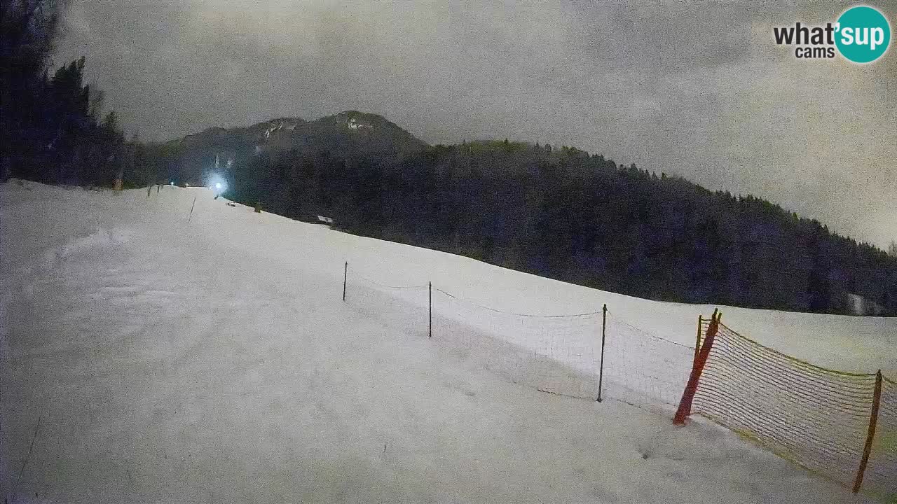 Kranjska Gora SKIJANJE | Brsnina