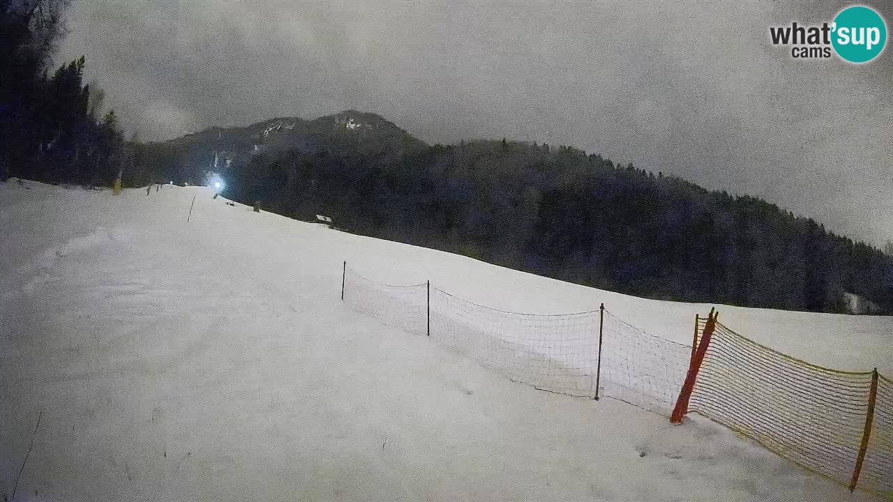 RTC Kranjska Gora | Brsnina