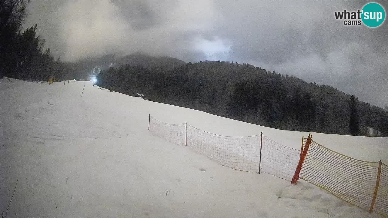 RTC Skigebiet Kranjska Gora | Brsnina