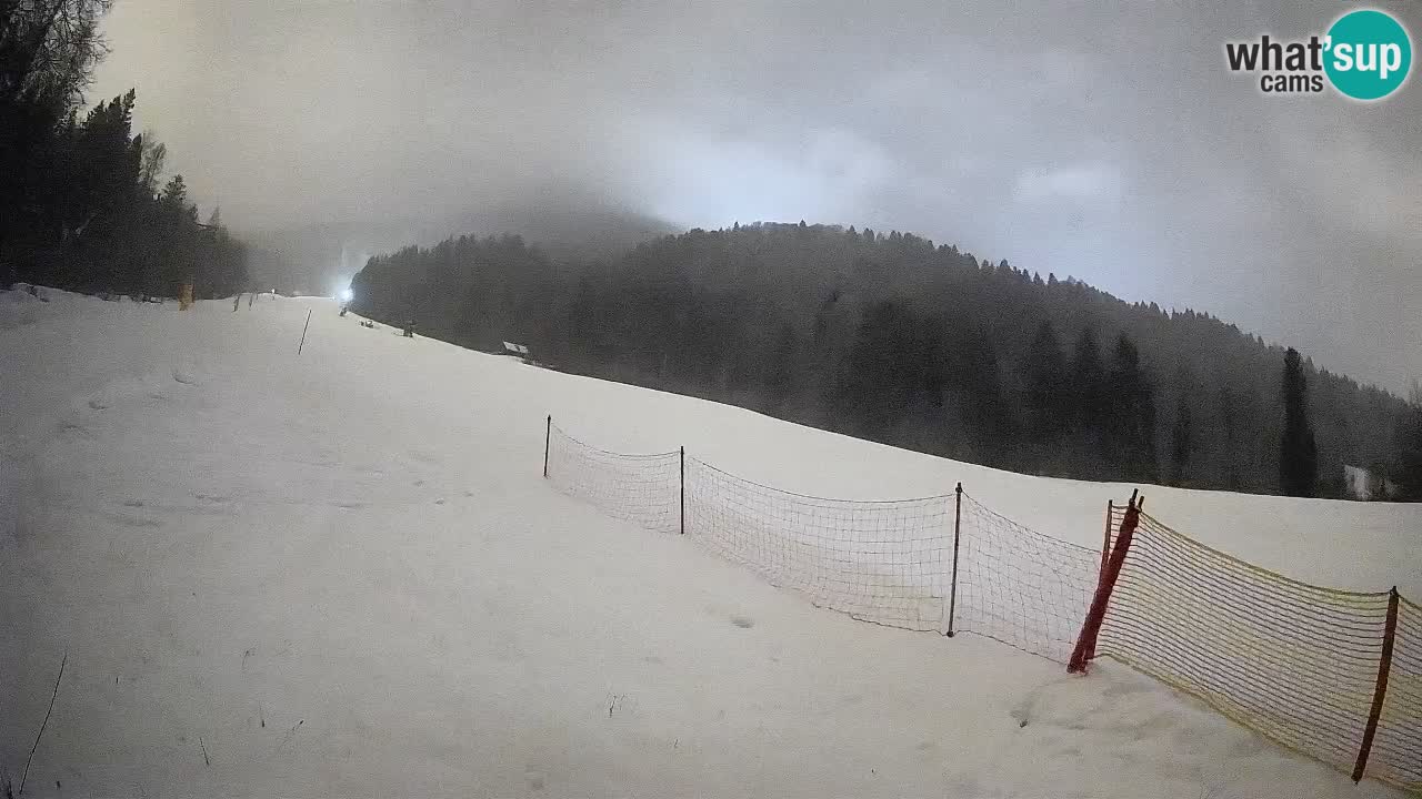 Kranjska Gora SKIJANJE | Brsnina