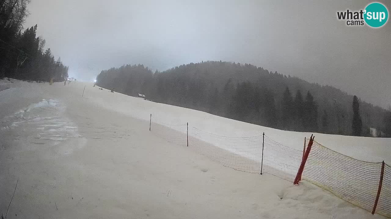 RTC Kranjska Gora | Brsnina