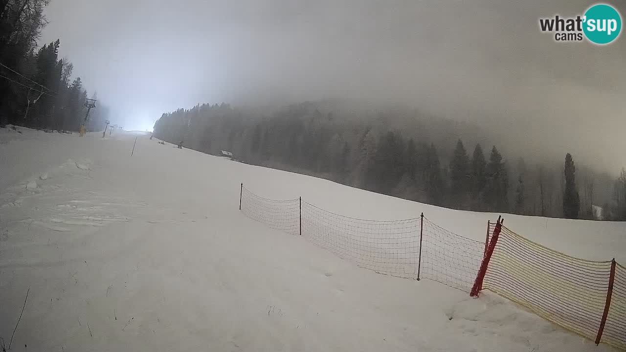 RTC Skigebiet Kranjska Gora | Brsnina