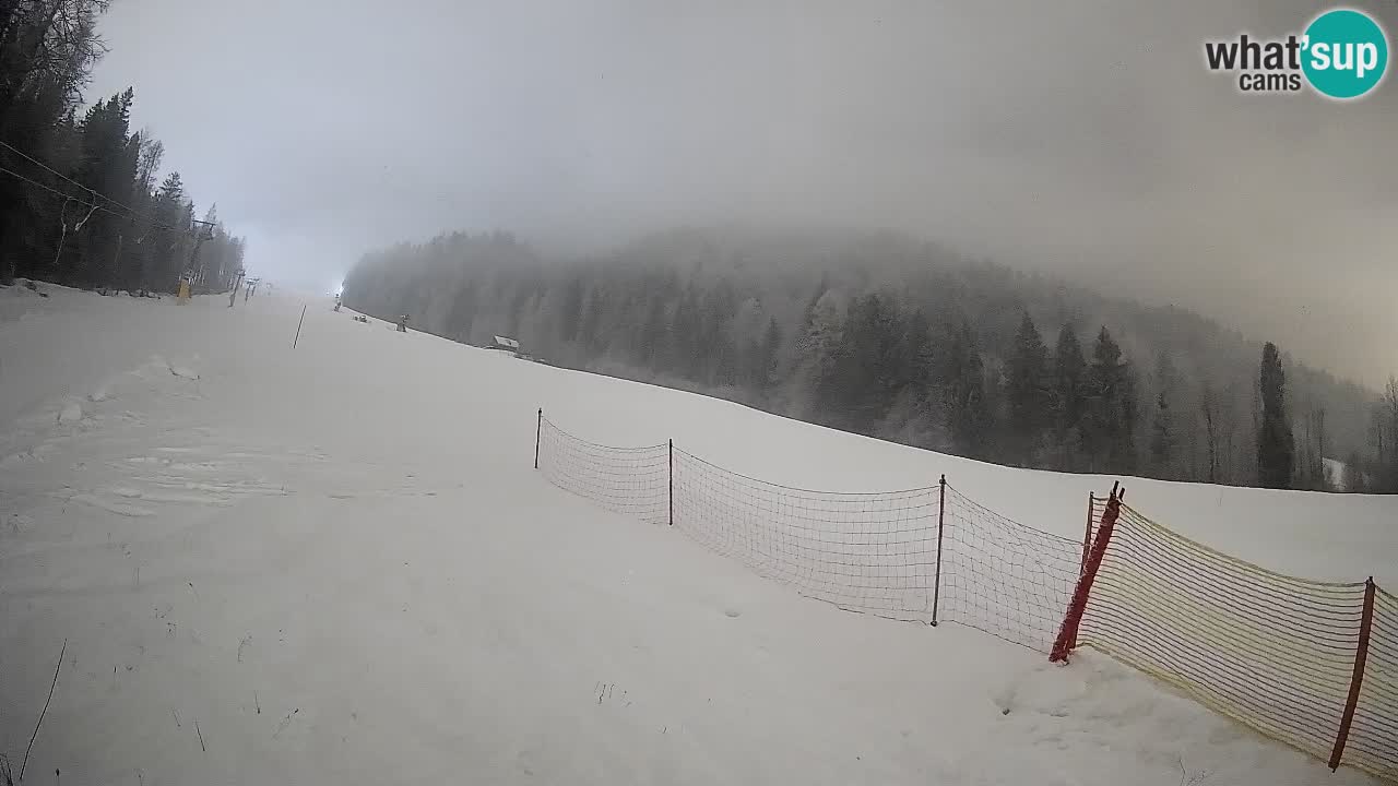 Comprensorio sciistico Kranjska Gora | Brsnina