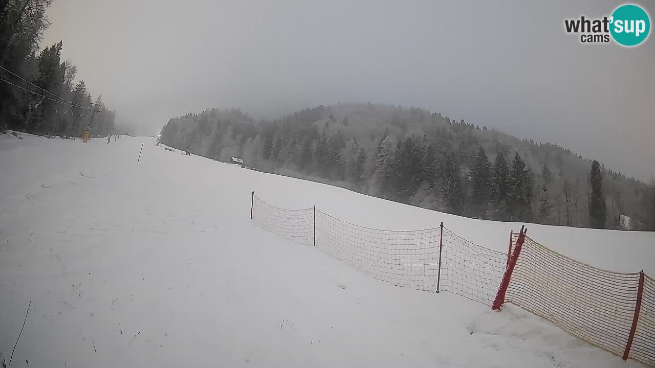 RTC Skigebiet Kranjska Gora | Brsnina