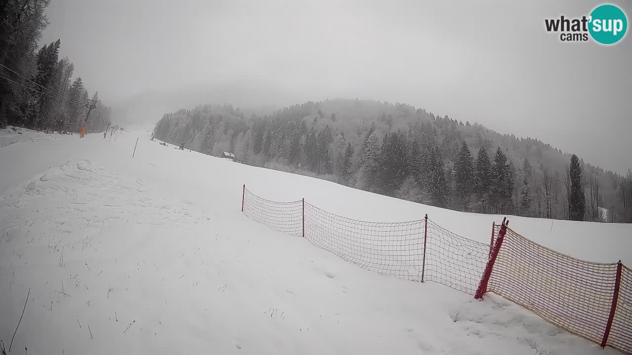 Comprensorio sciistico Kranjska Gora | Brsnina