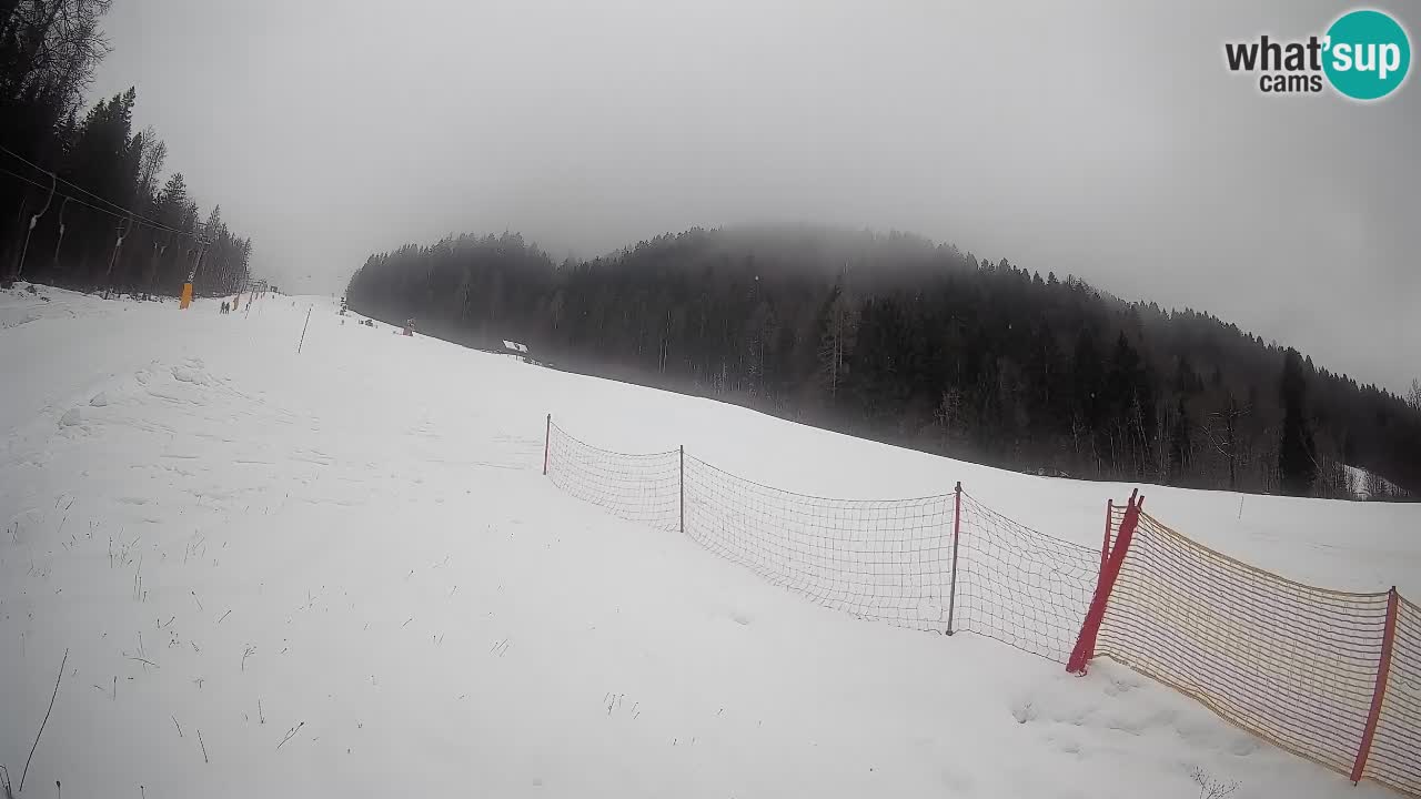 Comprensorio sciistico Kranjska Gora | Brsnina