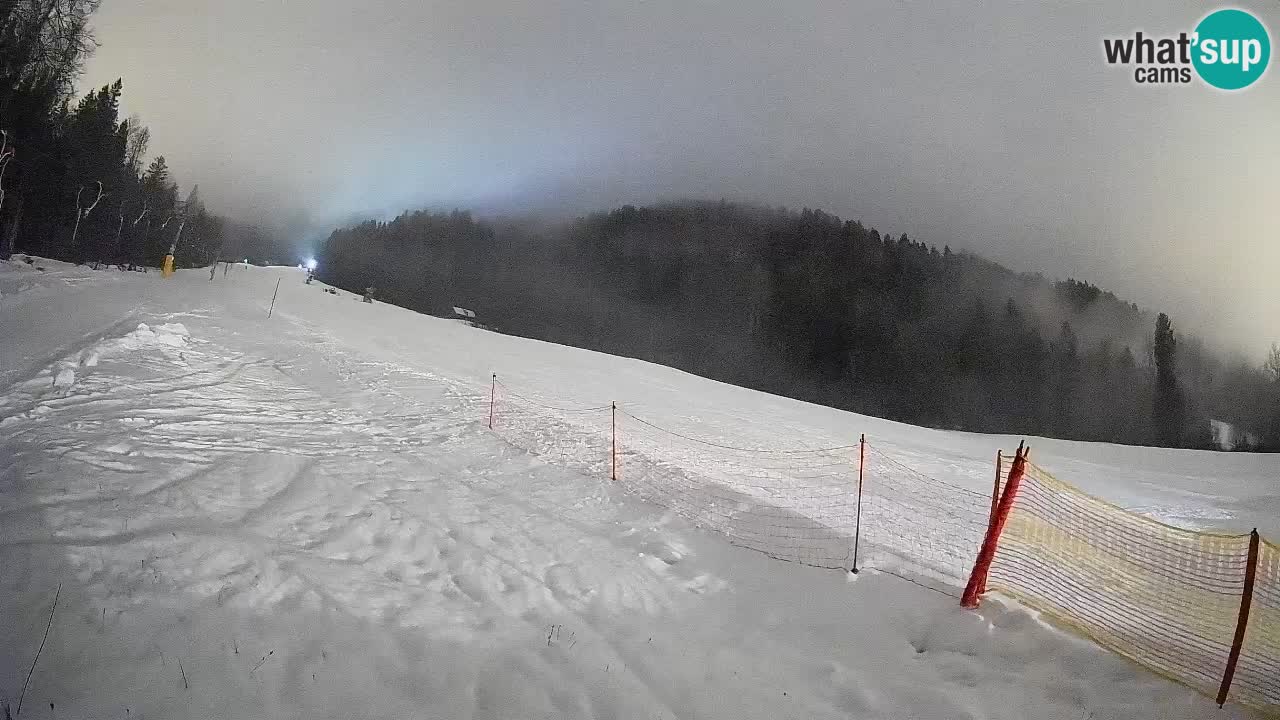 RTC Skigebiet Kranjska Gora | Brsnina