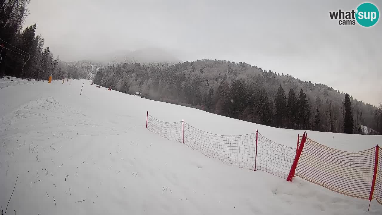 RTC Skigebiet Kranjska Gora | Brsnina