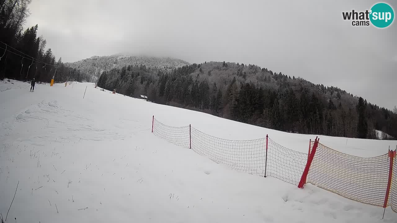 Esquí Kranjska Gora | Brsnina