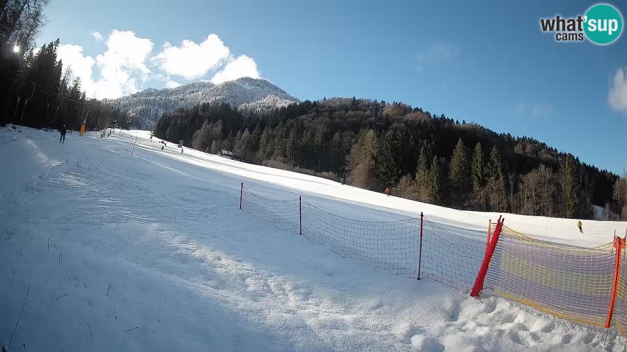 Esquí Kranjska Gora | Brsnina