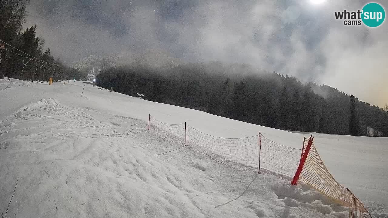 RTC Skigebiet Kranjska Gora | Brsnina