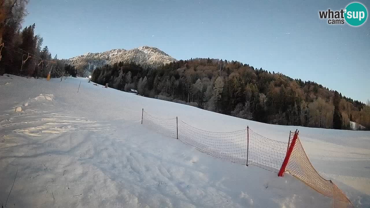 Ski Kranjska Gora | Brsnina