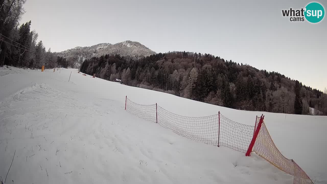 Ski Kranjska Gora | Brsnina