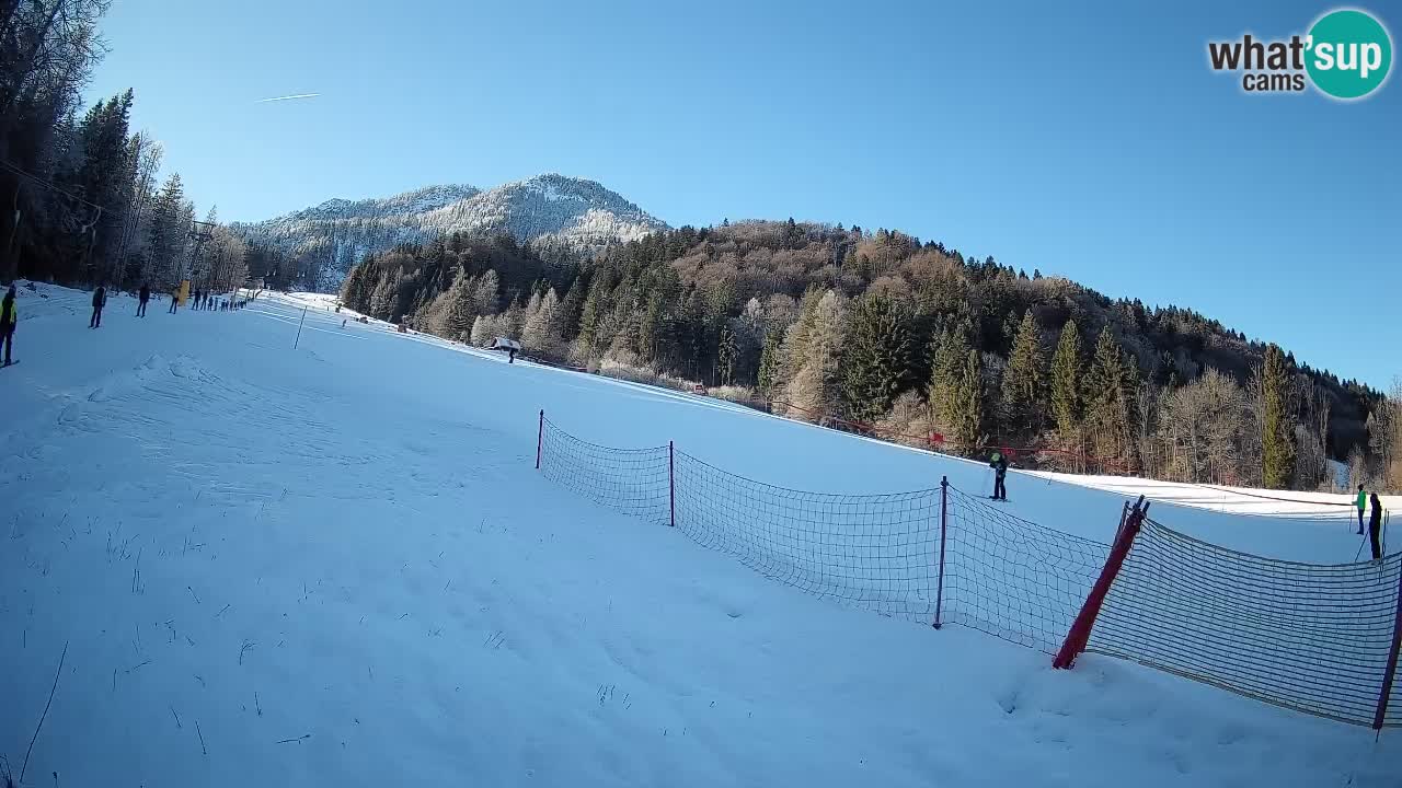 Ski Kranjska Gora | Brsnina