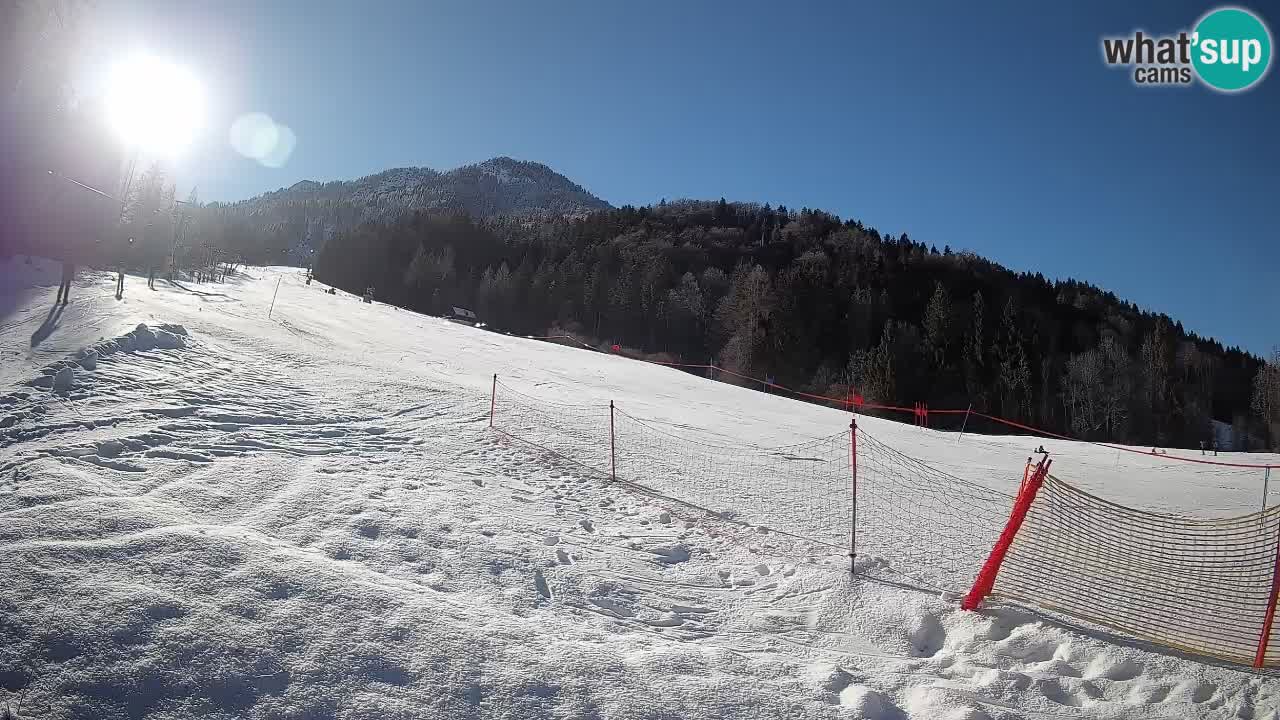 Kranjska Gora SKIJANJE | Brsnina