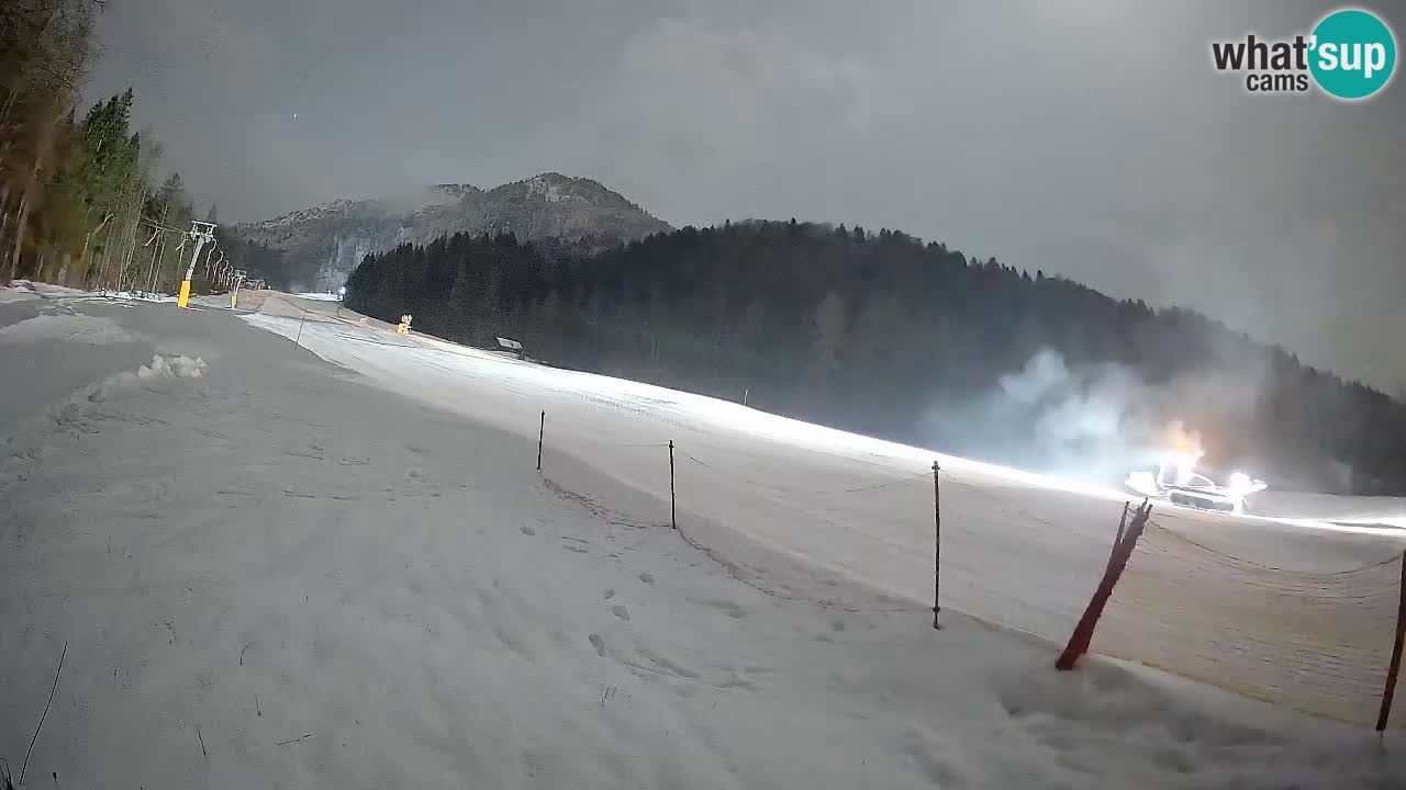 Ski Kranjska Gora | Brsnina