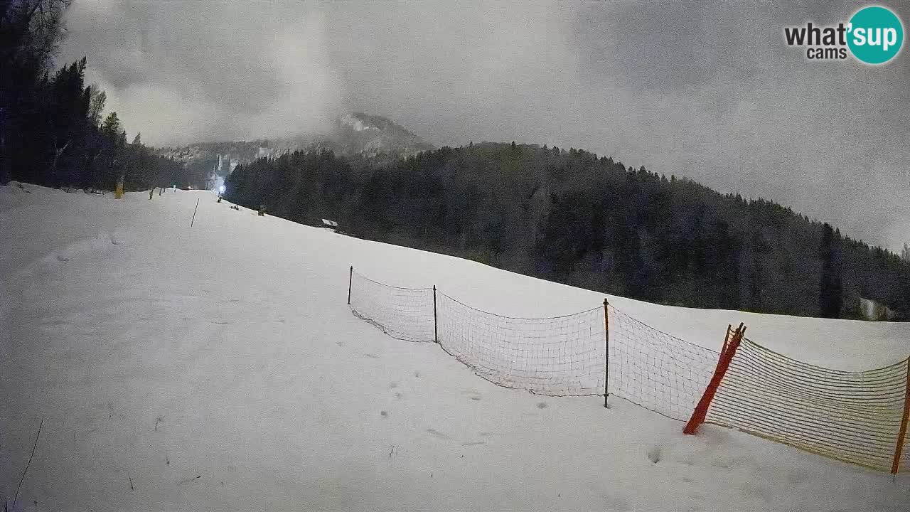 Ski Kranjska Gora | Brsnina