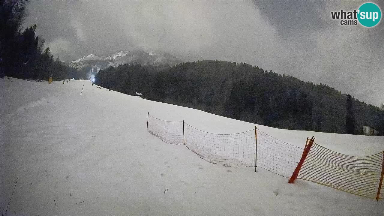 Ski Kranjska Gora | Brsnina
