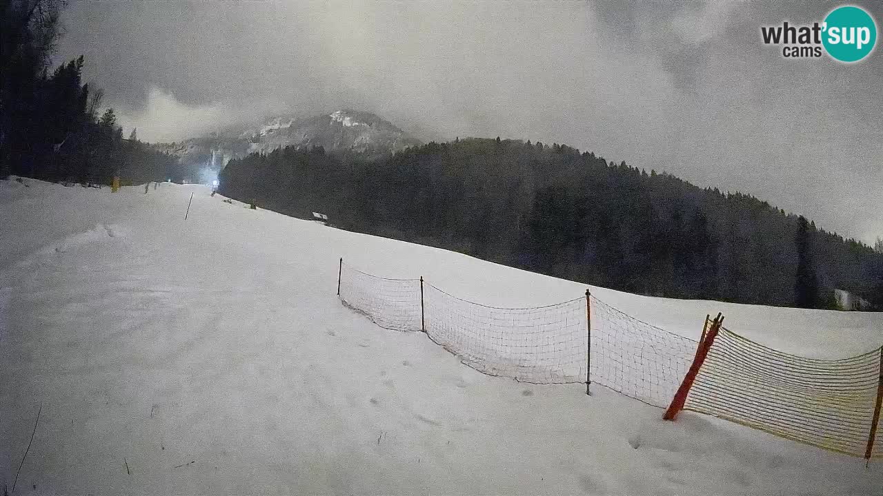 Comprensorio sciistico Kranjska Gora | Brsnina