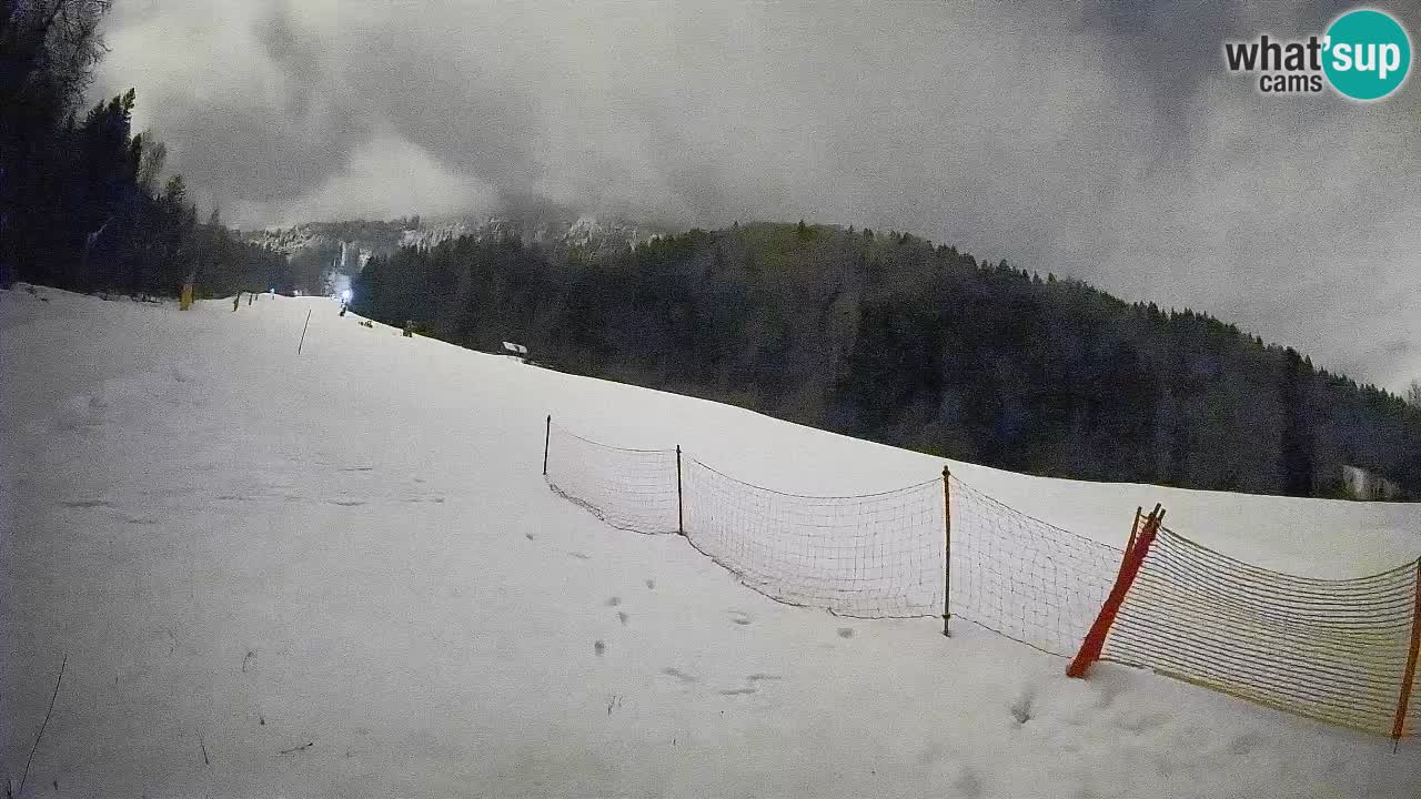 Ski Kranjska Gora | Brsnina