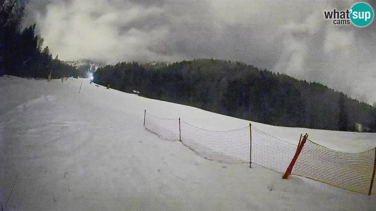 Comprensorio sciistico Kranjska Gora | Brsnina