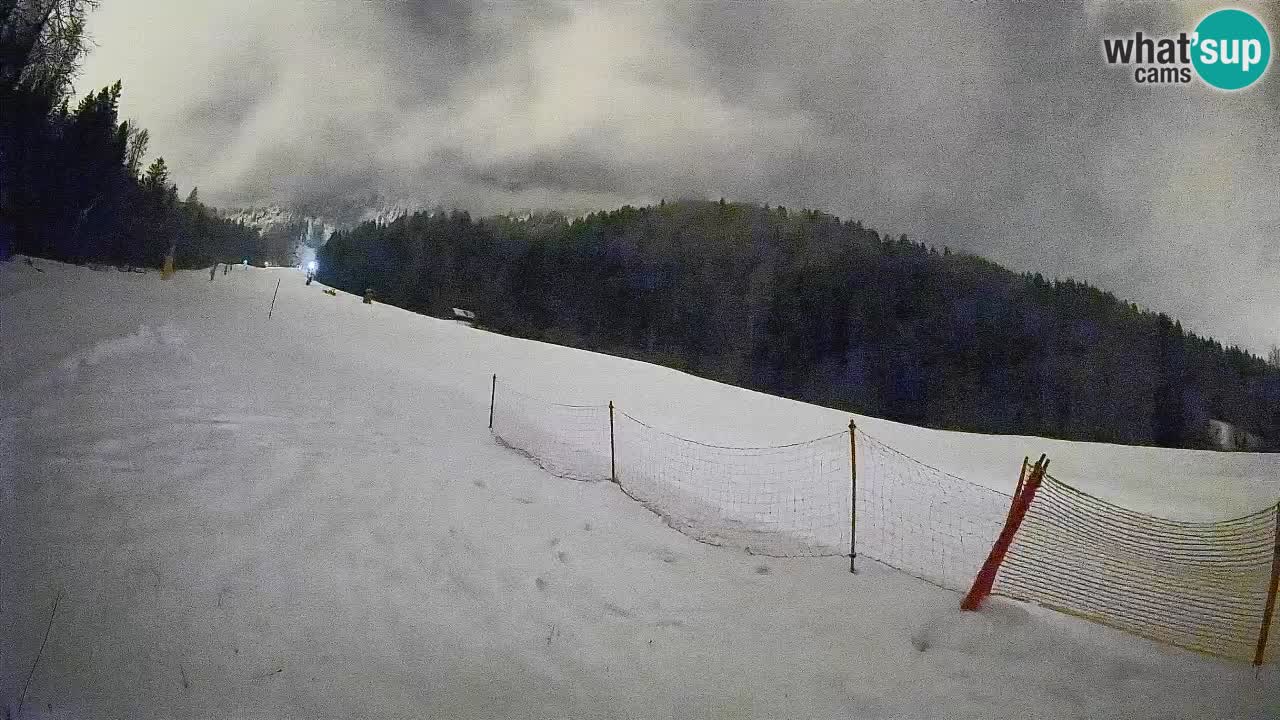 Comprensorio sciistico Kranjska Gora | Brsnina