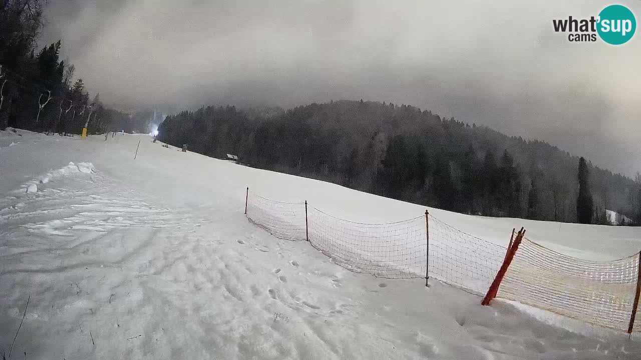 Ski Kranjska Gora | Brsnina