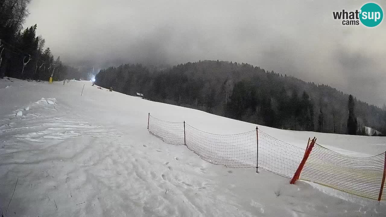 Comprensorio sciistico Kranjska Gora | Brsnina