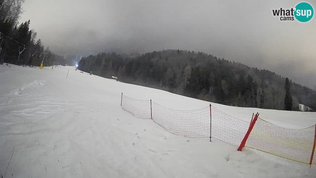 Ski Kranjska Gora | Brsnina