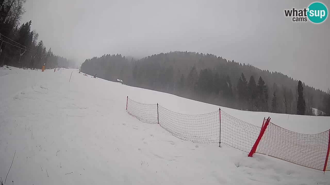 Comprensorio sciistico Kranjska Gora | Brsnina