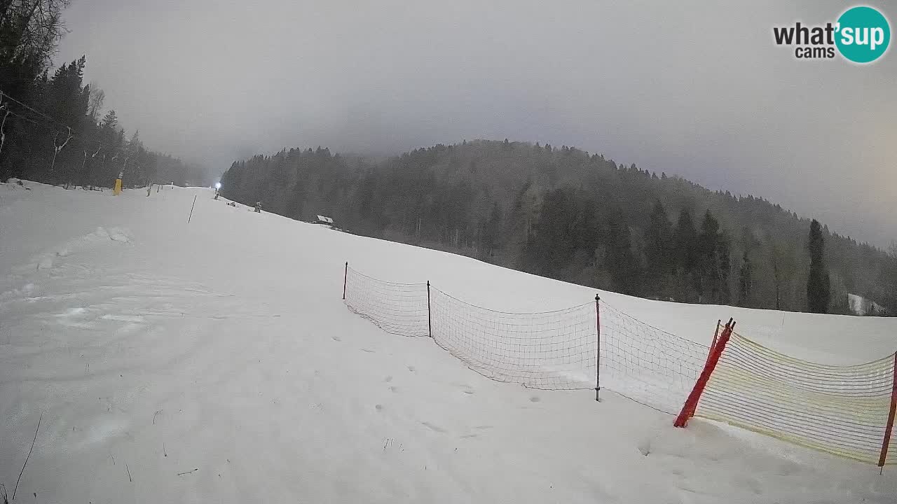 RTC Skigebiet Kranjska Gora | Brsnina