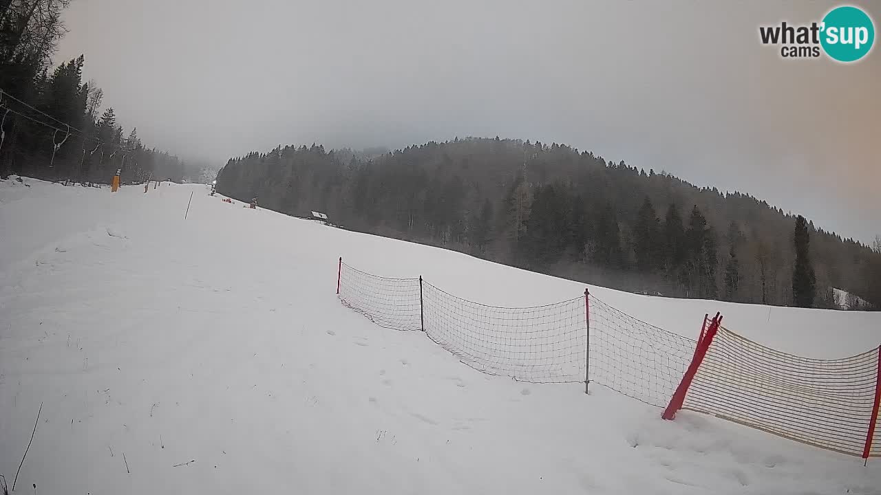 Ski Kranjska Gora | Brsnina