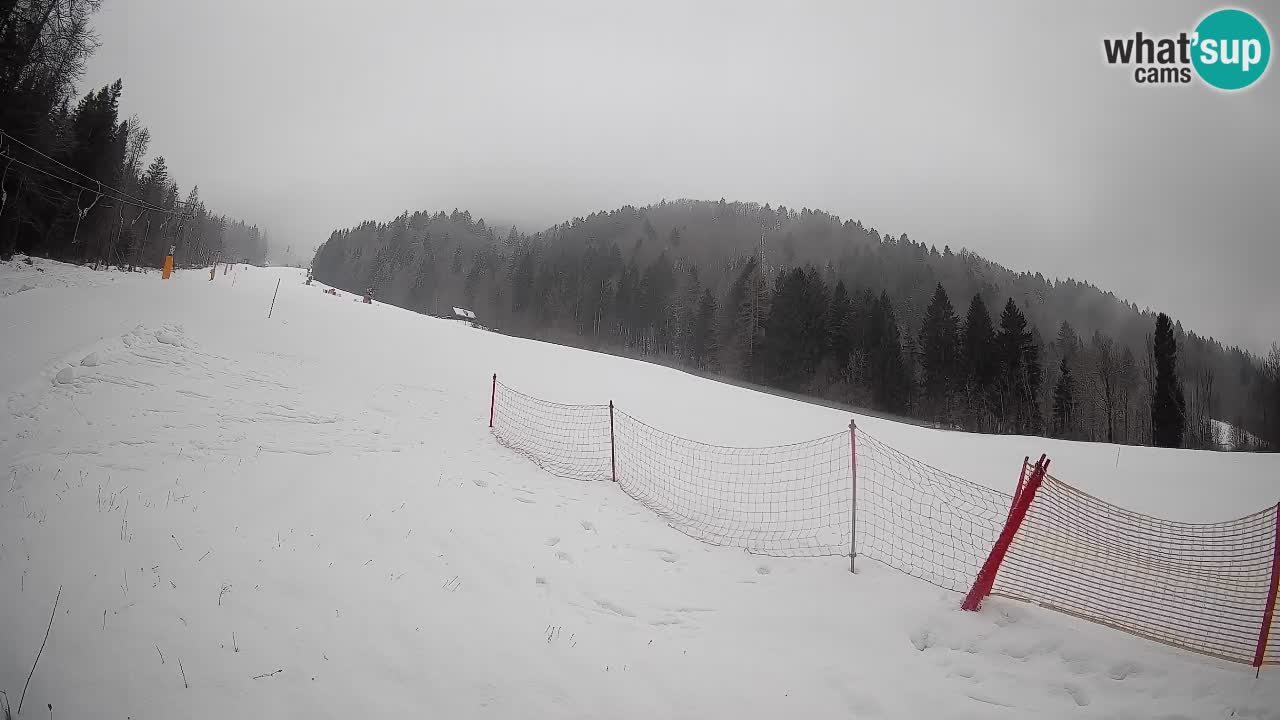 Ski Kranjska Gora | Brsnina