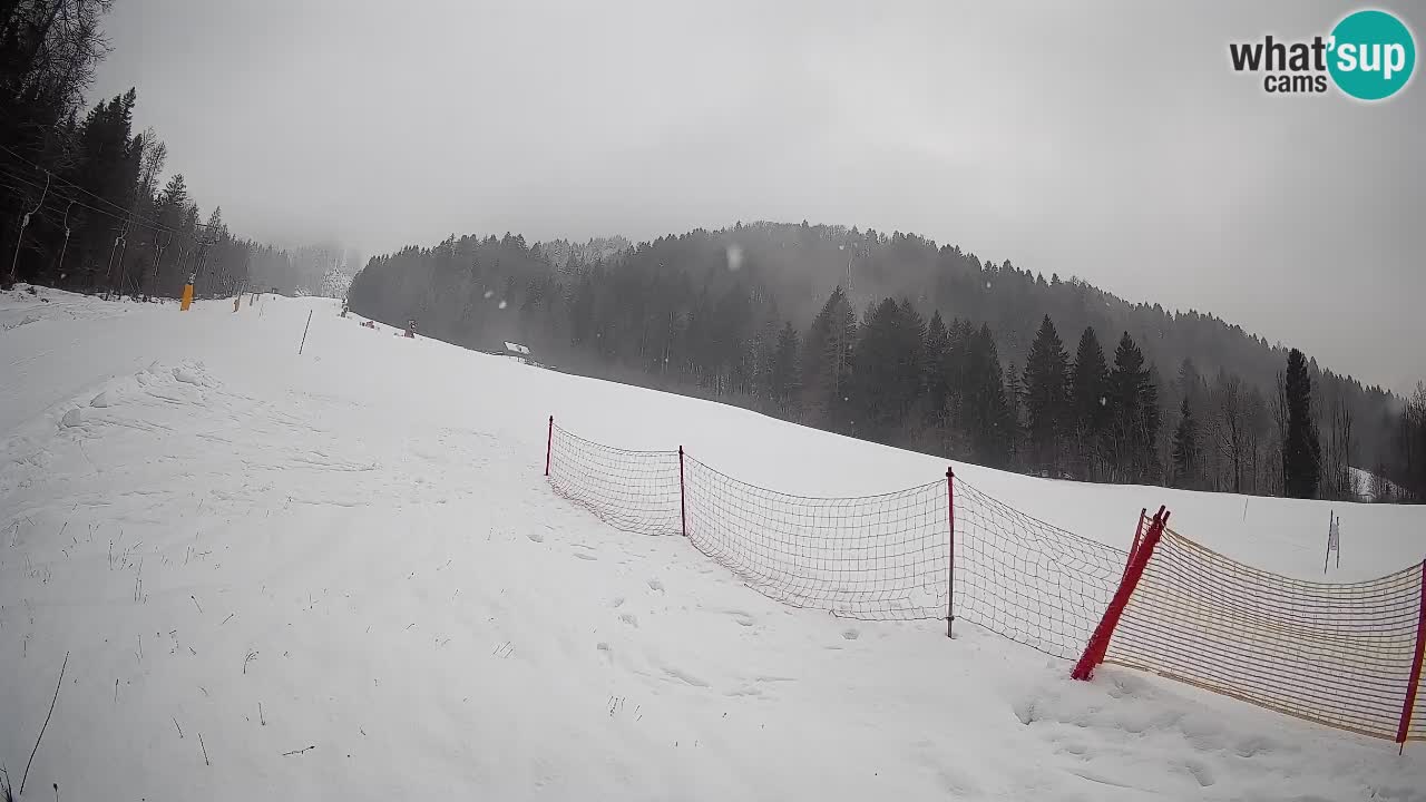 Ski Kranjska Gora | Brsnina