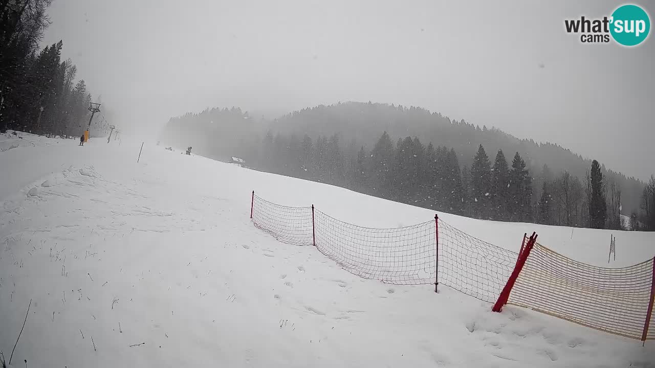 Ski Kranjska Gora | Brsnina