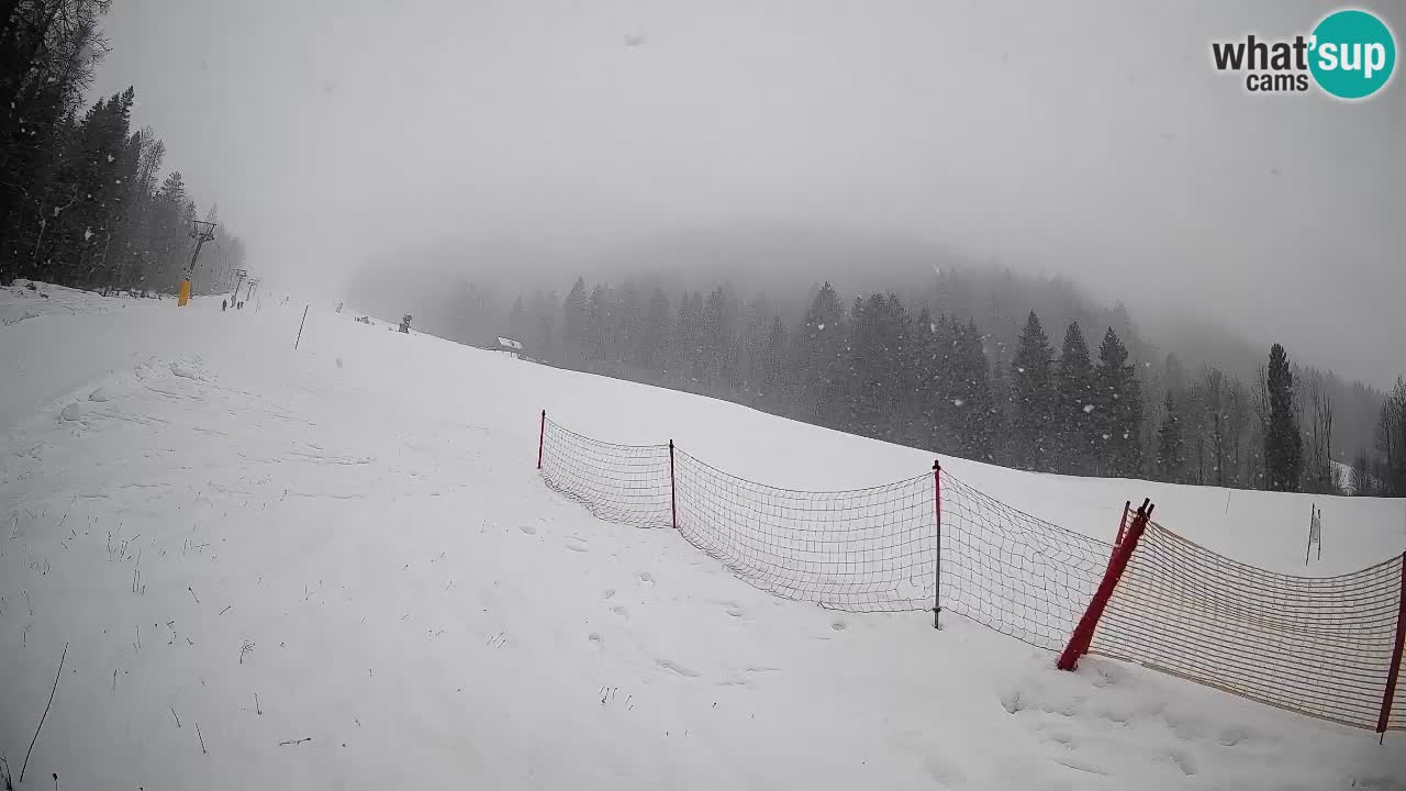 RTC Skigebiet Kranjska Gora | Brsnina